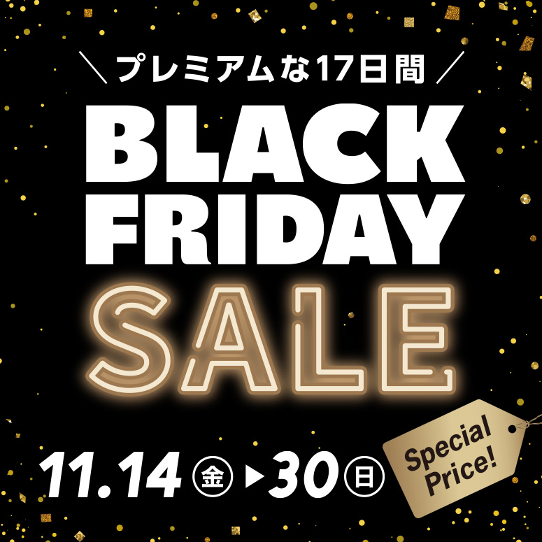 BLACK FRIDAY SALE